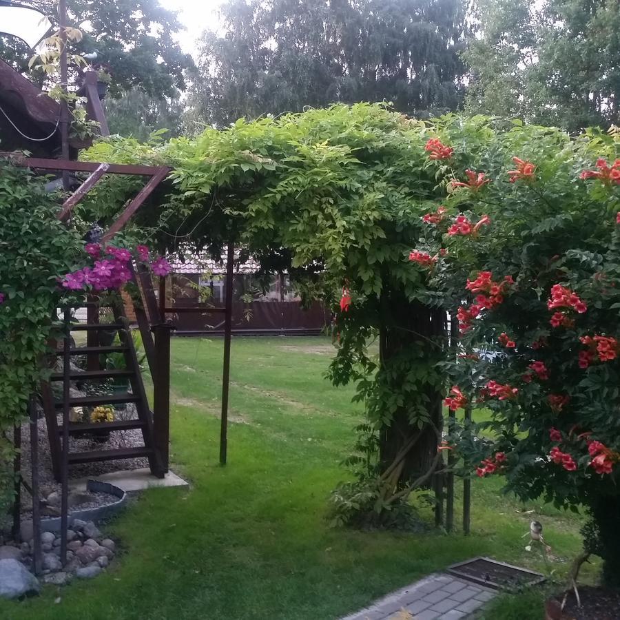 Sturmu Sodyba Vente Bagian luar foto